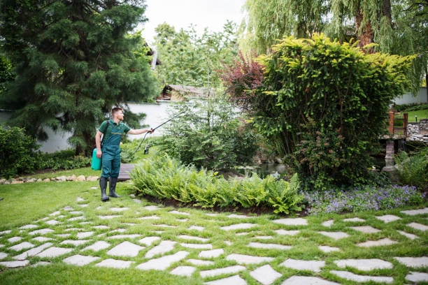Best Residential Pest Control  in Mount Cob, PA